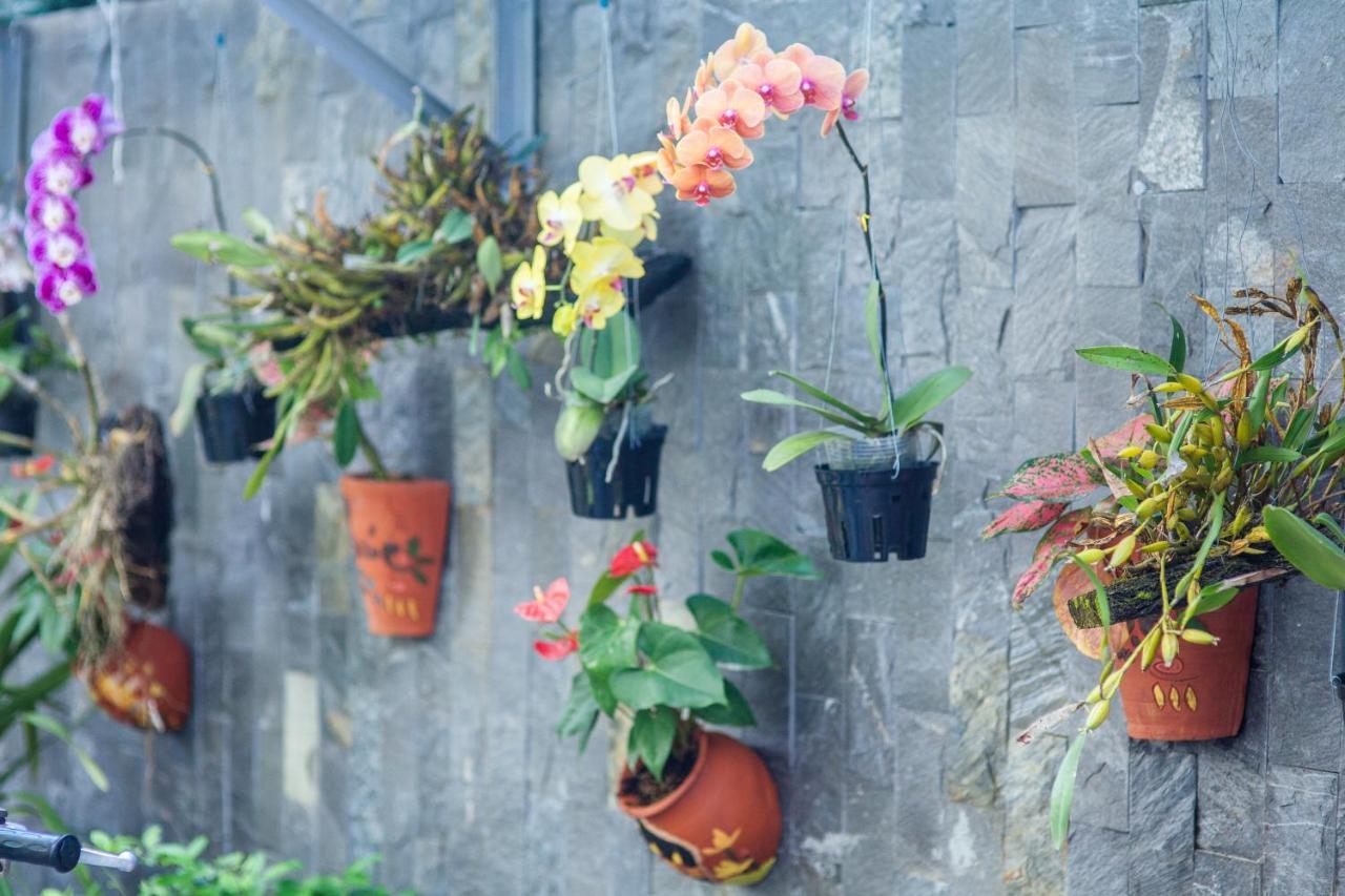 Flower Apartment 다낭 외부 사진